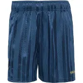 Adidas Argentina Afa Eqt Shorts Bleu S Homme