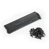 Eclat Pg Spokes And Nipples Kit 40 Units Noir 190 mm