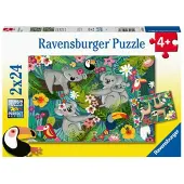 Ravensburger Koalas et paresseux puzzle 2x24 pièces
