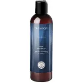 Organique Shampoing pour cheveux MEN