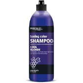 Chantal ProSalon Cool Blonde Colour Toning Shampooing pour cheveux blonds, décolorés et gris 500g