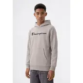 Champion Sweat bleu marine / taupe