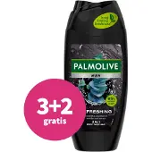 Palmolive Gel douche 250 ml pour hommes - Rafraîchissant