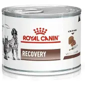 Royal Canin Vet dog/cat recovery 24x195 g mokra karma dla psów i kotów w okresie intensywnej terapii i po zabiegach chirurgicznych, w okresie rekonwalescencji
