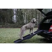 Nobby Hunderampe (Chien, Pliable)