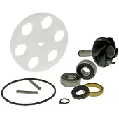 101 Octane Ip34590 Water Pump Rebuild Kit Argenté