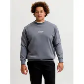 Jack & Jones Soho Plus Size Sweatshirt Gris 8XL / Regular Homme