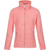 Regatta Polaire zippée femme Azaelia