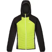 Regatta Trutton Jacket Vert S Homme