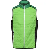 Regatta Halton Vii Vest Vert 2XL Homme