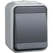 Schneider Electric Interrupteur universel pour montage en saillie44 gris clair/brillant - Interrupteur alternatif, trois fois 441609