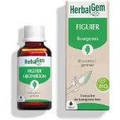 Herbalgem Pranarom - Bourgeon de figuier -- 30 ml