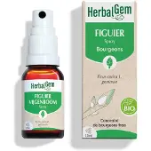 Herbalgem - Figuier Bio - Complément Alimentaire - Extrait De Bourgeon Frais - Pour Digestion - - 15 ml 15 ml Spray