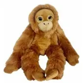 Dubi Orang-outan aux grands yeux 50cm