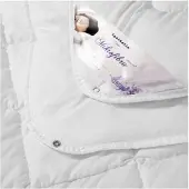 Sonstige Verlage Couverture antiallergique 135x200 Microfibre été 550g blanc AMZ