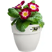 Elho Pot de Plante Elho Vibia Blanc 24,1 x 20,5 x 26,5 cm