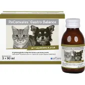 Alfavet ReConvales Gastro Balance - 3 x 90 ml