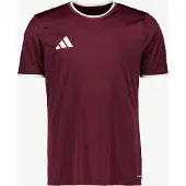Adidas T-Shirt fonctionnel 'Entrada26' bourgogne / blanc