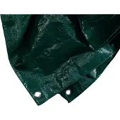 Siena Garden bâche de protection PE, 4 x 5 m, vert (1 pièce)