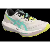 Asics Fujispeed 4 Running Shoes Gris EU 42