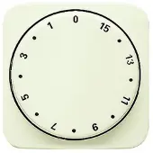 Busch-Jaeger disque central ws minuterie,15min. 1770-212-102
