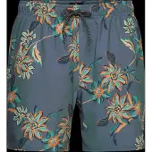 Rip Curl Sessions Swimming Shorts Bleu XL Homme