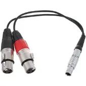 Atomos câble breakout entrée LEMO 10 broches vers XLR pour Shogun