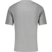 Napapijri T-Shirt 'Salis' gris