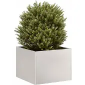 vidaXL Jardinière 40x40x30 cm acier inoxydable