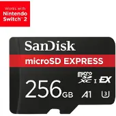 SanDisk Express 256 Go MicroSDXC UHS-I