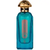 Nylaa Arab Al Airah eau de parfum spray 100ml