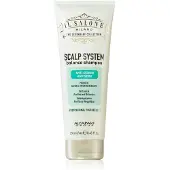 Alfaparf Milano Il Salone Scalp System Anti Sebum Shampoo 250ml - shampoing