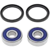 All Balls 25-1147 Front Wheel Bearing Kit Argenté