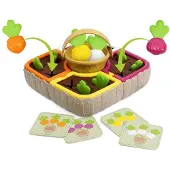 Chicco 2 In 1 Vegetable Garden Vert Enfants