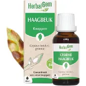 Herbalgem - Charme Bio - Complément Alimentaire - Extrait De Bourgeon Frais - Pour Voies Respiratoires & Circulation Sanguine - - 30 ml 30 ml Goutte(S)