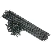 Saltbmx Spokes 40 Units Argenté 162 mm