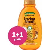 Garnier Shampoing 300 ml à l'argan