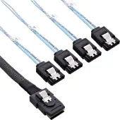 InLine Câble de connexion SAS (100 cm, Mini-SAS)