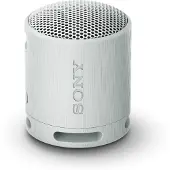 Sony SRS-XB100 Gris