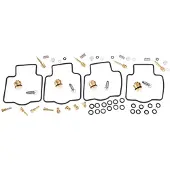 Keyster Kk-0246 Carburetor Repair Kit Argenté
