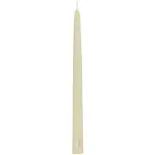 Diptyque Sapin Céro - 28,5 Cm