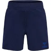 Hummel Pantalon de sport bleu / bleu foncé
