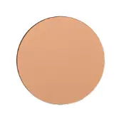 Shiseido Expert Sun Protector UV Protective Compact Foundation SPF30 fond de teint compact wateproof recharge teinte Dark Ivory 12 g