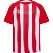 Hummel T-Shirt fonctionnel rouge / blanc