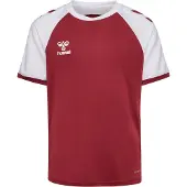 Hummel T-Shirt fonctionnel rouge chiné / blanc