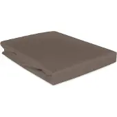 Darymex Drap-housse coton satin sépia 043/120x200