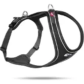 Curli Belka Comfort Harnais, Couleur:Noir, Taille:M