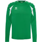 Hummel Sweat de sport 'Core 2.0' vert gazon / blanc
