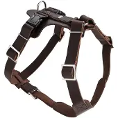 Hunter Vaisselle Aalborg (XS, Chien, Promenade)