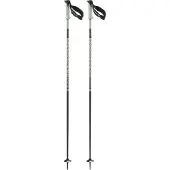 Salomon Polar Pro S3 Poles Argenté 120 cm
